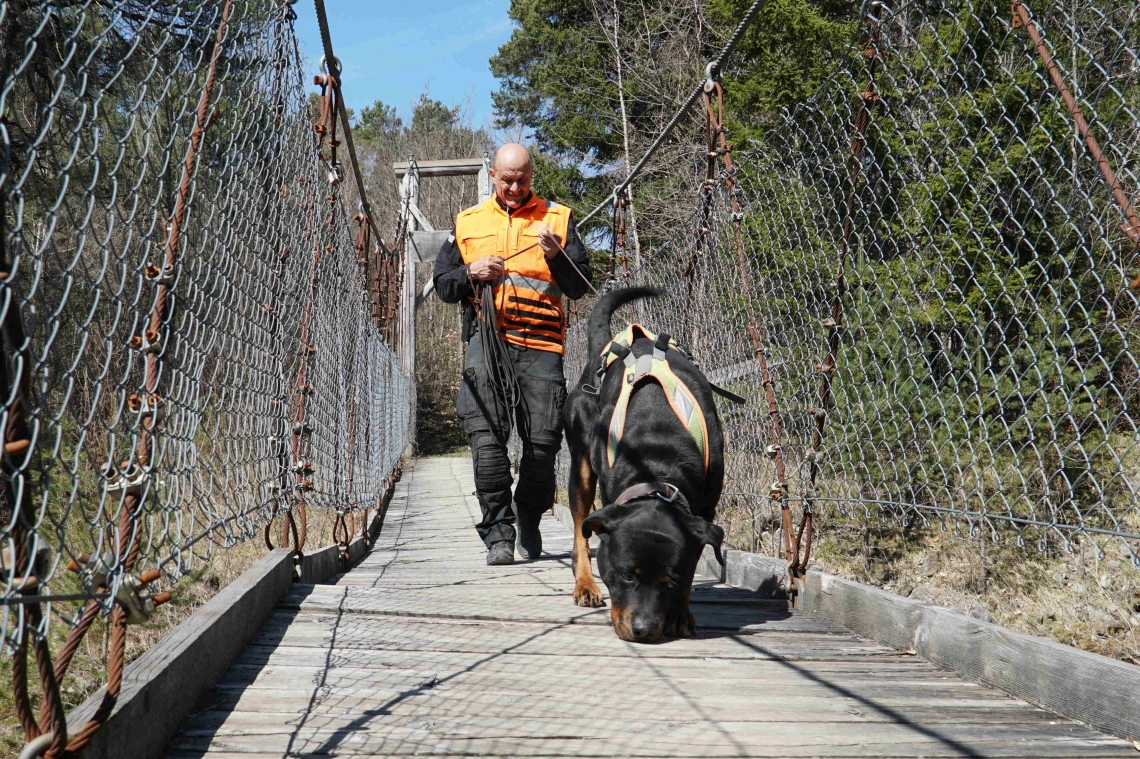 Symboldbild Yukon von Amtsbach